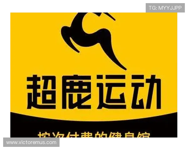 详细介绍mk体育官网入口的使用流程与常见问题解答 详细介绍mk体育官网入口的使用流程与常见问题解答