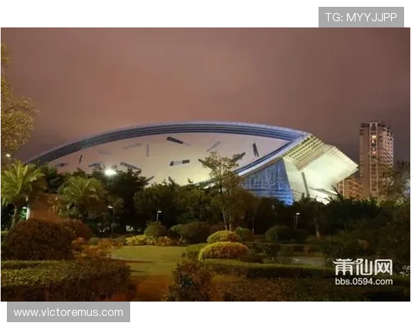 U体育官网下载遇到问题怎么办，常见故障排查与技术支持全攻略